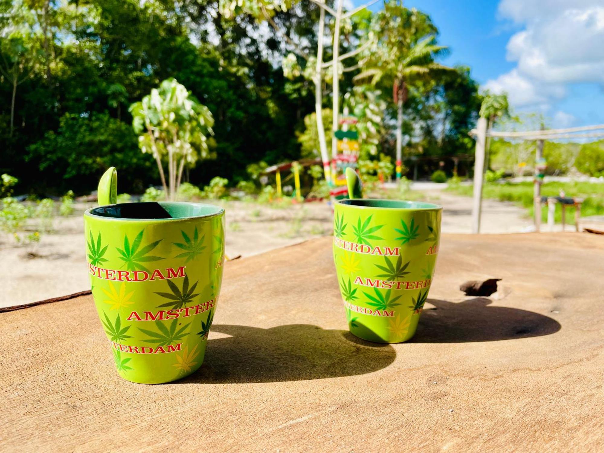 Land Of Promise - Reggae Bar & Eco Village Zanderij Екстер'єр фото