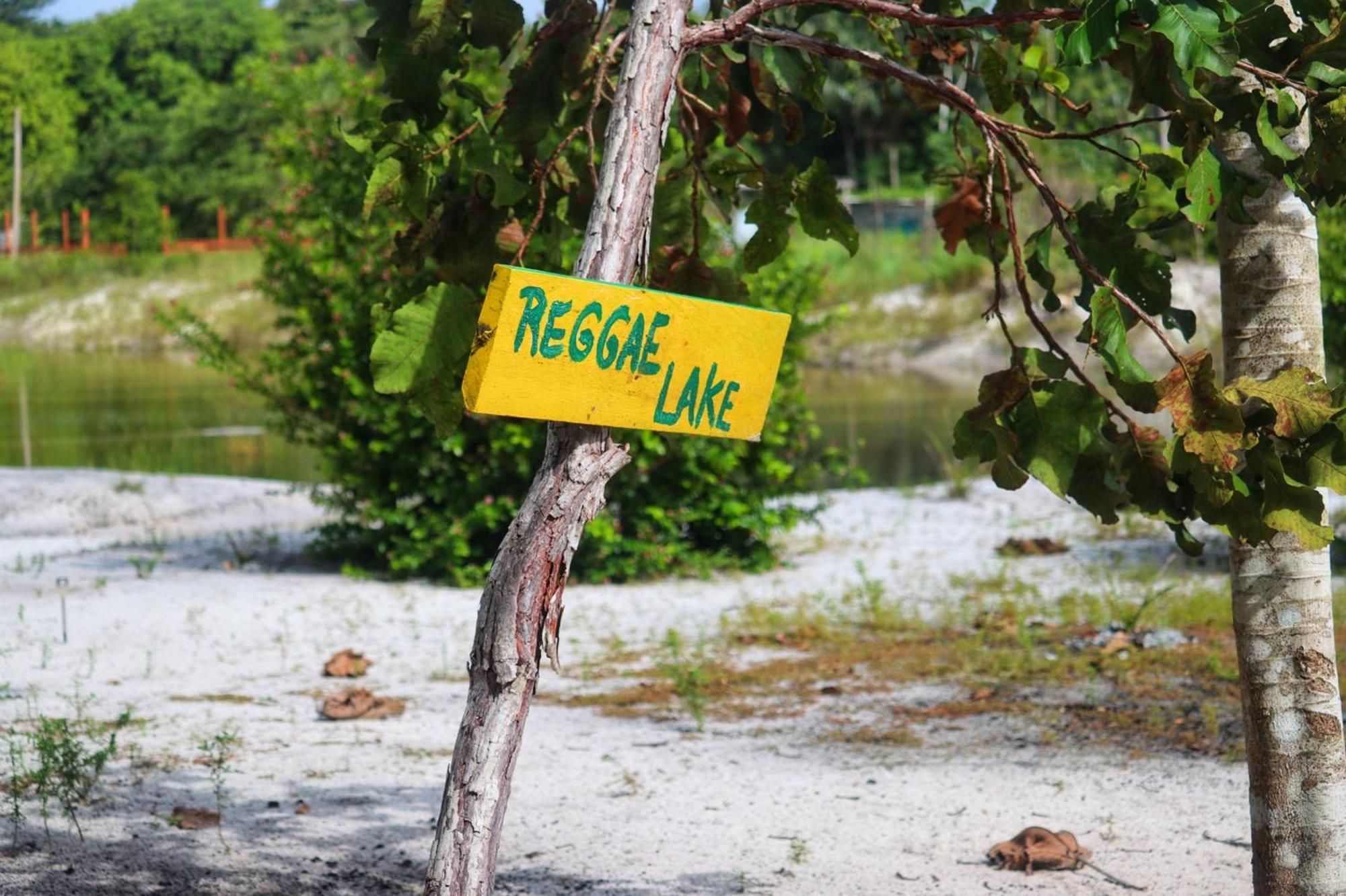 Land Of Promise - Reggae Bar & Eco Village Zanderij Екстер'єр фото